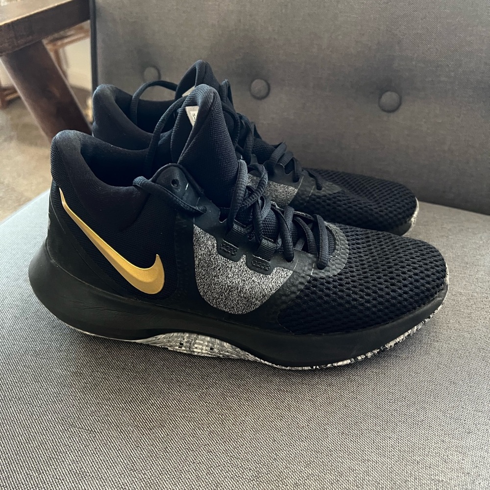 Nike Air Prescision II mens basketball shoes
